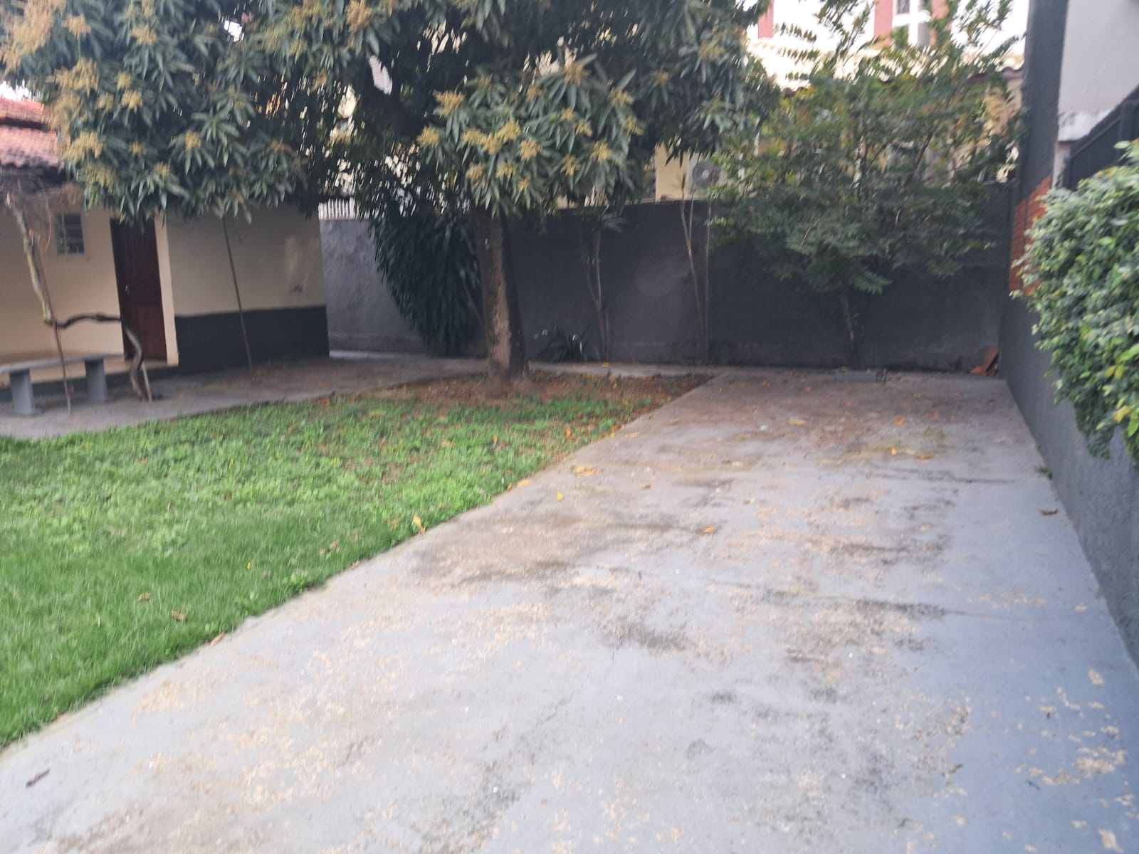 Image 19