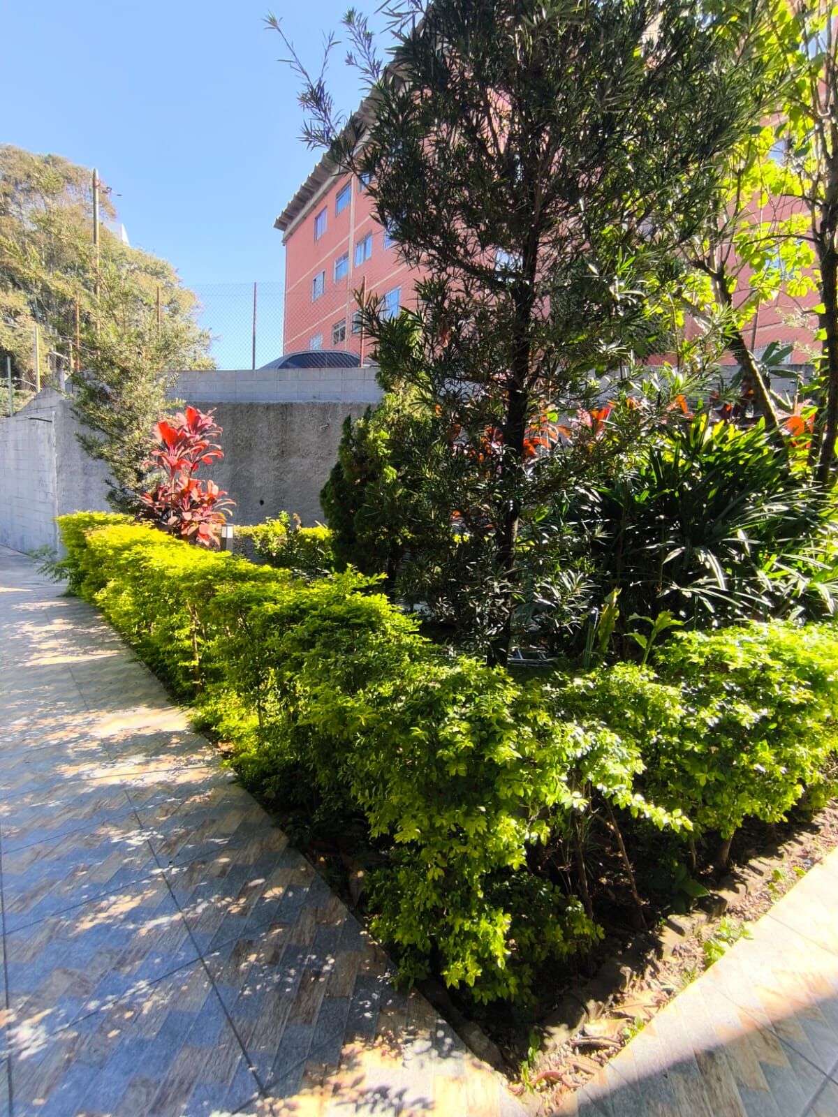 Image 18