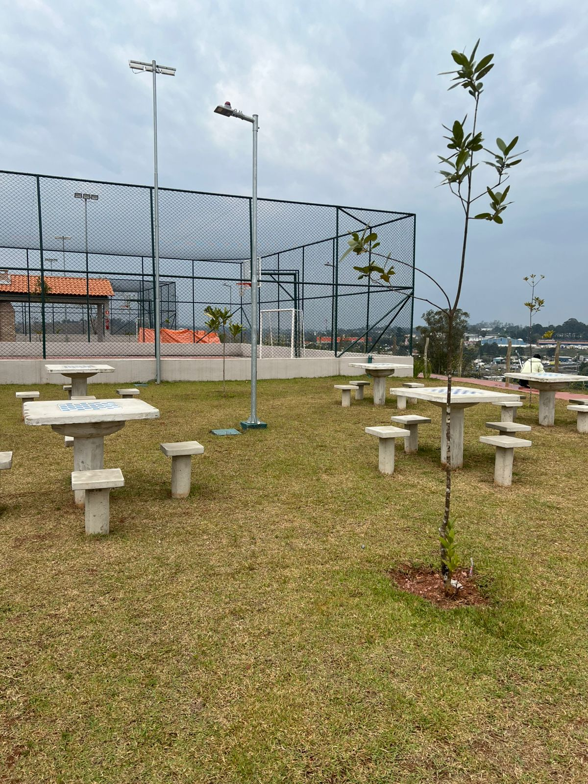 Image 32
