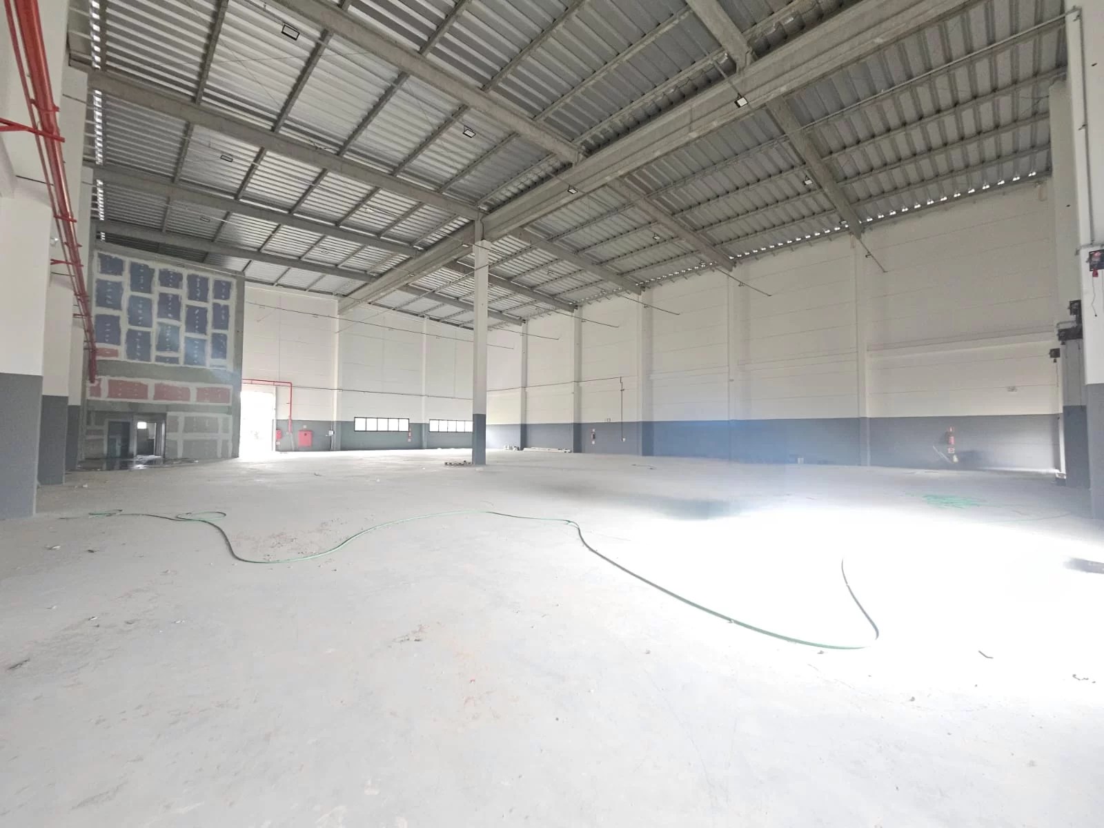 Image 7